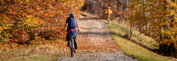 bikers on a woodland trail